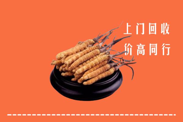 收购行情：郊区回收散虫草
