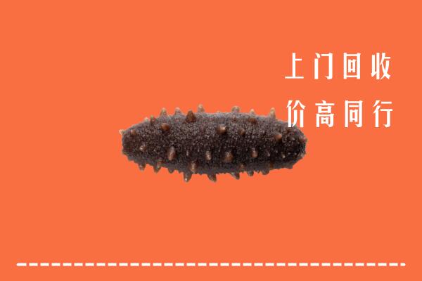 郊区回收海参